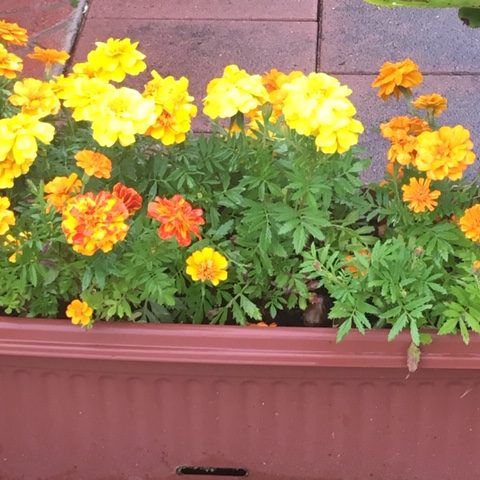 May2019_12