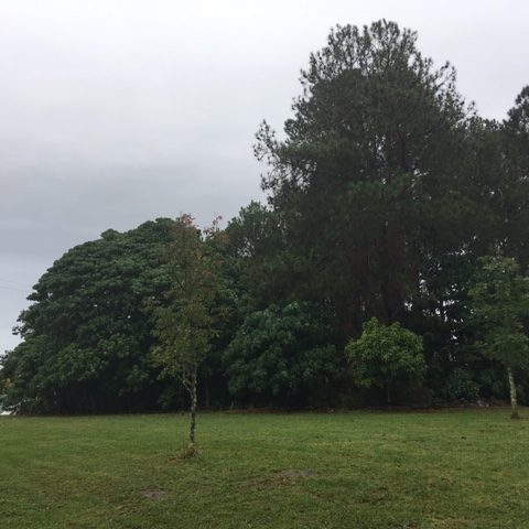 May2019_25
